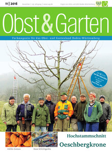 Cover Obst & Garten 11/2016