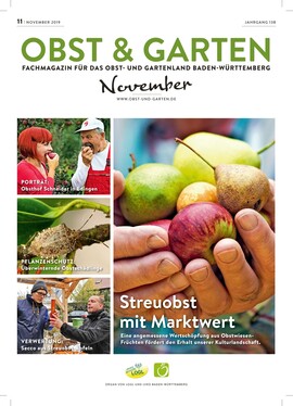 Cover Obst & Garten 11/2019