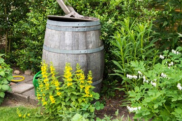 Nachhaltige Wassernutzung im Garten beginnt mit dem Sammeln von Regenwasser.