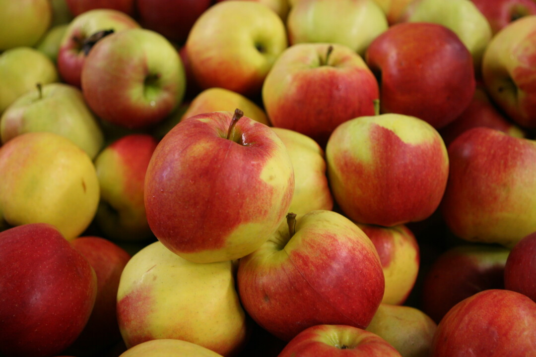 pfel sind nicht nur aufgrund ihres Vitamingehalts so gesund, sondern sie punkten auch mit ihren sekundren Pflanzenstoffen.