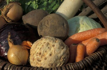 Jeden Monat neu auf bzfe.de: Praktisches zu Obst und Gemse.