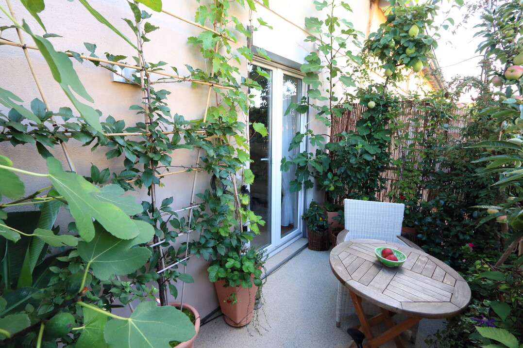 Auch auf dem Balkon kann man einiges an Obst anbauen.