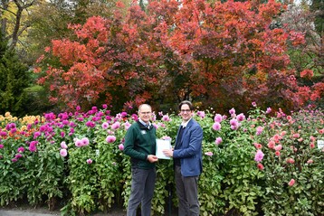 Mainau-Gartendirektor Markus Zeiler und Mainau-Geschftsfhrer Bjrn Graf Bernadotte vor dem Perckenstrauch (Cotinus coggygria) im Dahliengarten mit einer Urkunde fr eine Baumpatenschaft.