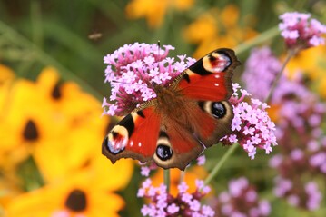 Gehlze sind ein Haupttrger der biologischen Vielfalt