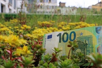 Jetzt Zuschsse fr eine Dach- oder Fassadenbegrnung beantragen.