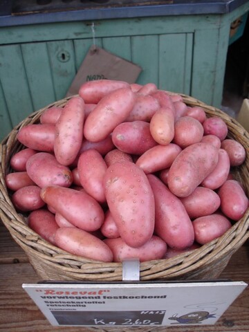 Beim Obst- und Gartentag heit eines der Themen "Tomaten und Kartoffeln  geht das zusammen?"