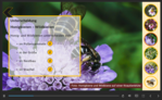 Screenshot der Lernanwendung "Biodiversität" der Lehr- und Versuchsanstalt für Gartenbau (LVG) Heidelberg