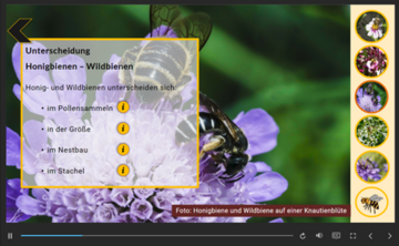 Screenshot der Lernanwendung "Biodiversitt" der Lehr- und Versuchsanstalt fr Gartenbau (LVG) Heidelberg