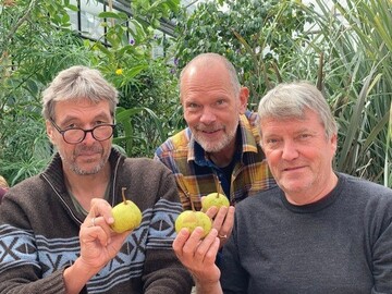 (von links) Jan Bade, Michael Heienberg, Jens Meyer haben bei der Klaus Tschira Stiftung das Projekt eingereicht, das altes Wissen um Obstsorten mit dem genetischen Fingerabdruck zusammenbringt.