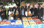 Apfelsaison eröffnet: Ministerialdirigent Joachim Hauck (2. v. r.), der stellvertretende Vorsitzende der Obstregion Bodensee, Erich Röhrenbach (5. v. r.) und Dr. Egon Treyer, Geschäftsführer der Marktgemeinschaft Bodeseeobst eG (r.), umrahmt von den Apfelhoheiten und weiteren Vertretern aus Landwirtschaft und Politik.