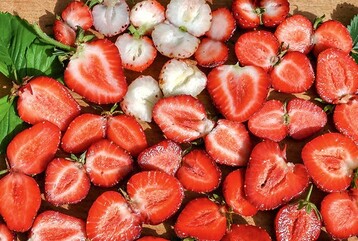  Wie dunkel sich das Fruchtfleisch frbt, ist genetisch festgelegt 