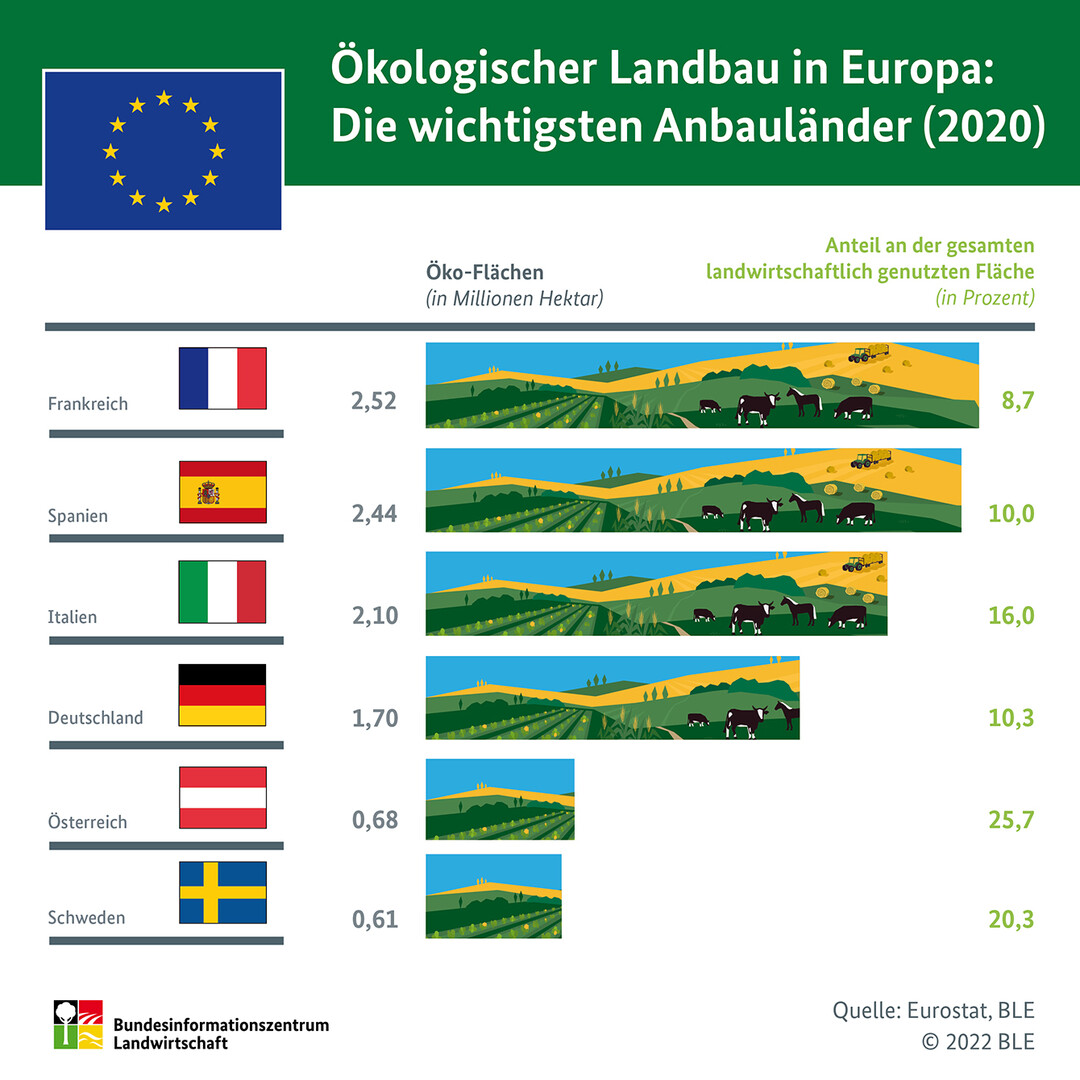 Die wichtigsten Anbauländer im Jahr 2020