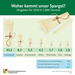 Woher kommt unser Spargel?