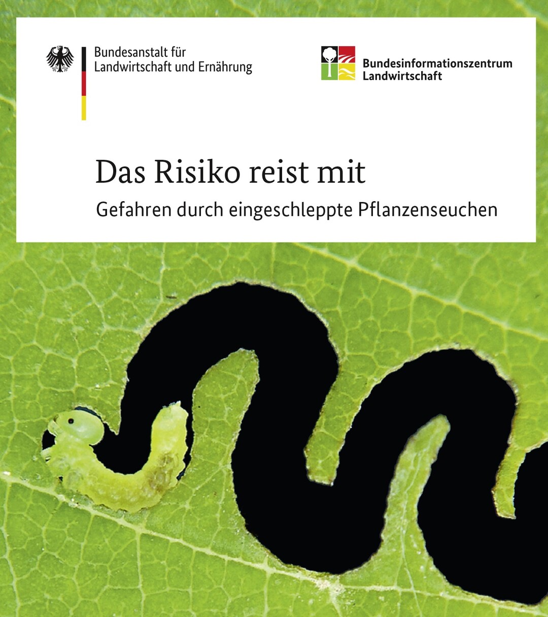 Das neue Pocketheft des Bundesinformationszentrums Landwirtschaft (BZL) gibt Reisenden Tipps, wie sie Pflanzen aus dem Ausland sicher mitbringen und so eine Einschleppung verhindern knnen.