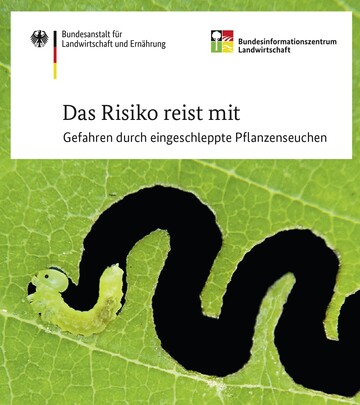 Das neue Pocketheft des Bundesinformationszentrums Landwirtschaft (BZL) gibt Reisenden Tipps, wie sie Pflanzen aus dem Ausland sicher mitbringen und so eine Einschleppung verhindern knnen.