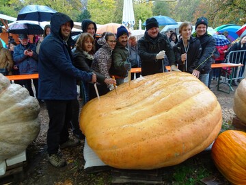 Die Kultivateure der schwersten Krbisse aus Deutschland und Europa vor ihren Giganten, ehe sie die "Krbisstars" zerlegen konnten