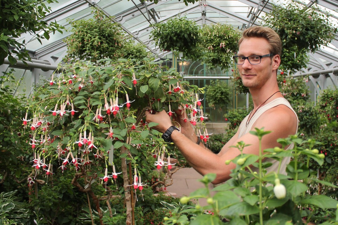 Wilhelmagärtner Tobias Egner ist für die Betreuung der umfangeichen Fuchsiensammlung verantwortlich