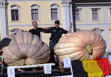 So prsentierten sich vor der Fassade des Ludwigsburger Schlosses die Sieger im europischen Krbiswiegen: (l.) Stefano Cutrupi und (r.) Jan Biermans mit ihren Krbissen