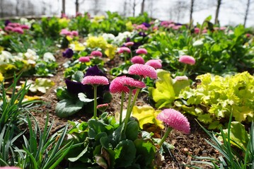 Ausstellungsbeitrge, inspirierende Schaugrten und Gartenattraktionen unter dem Motto "wchst-lebt-bewegt"