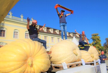 Die 3 Sieger beim europischen Krbiswiegen 2019 zeigten sich dem Publikum mit groer Freude auf ihren stattlichen Exemplaren (v.l.): Luc van Heukelom, Mario van Geel und Jan Biermans