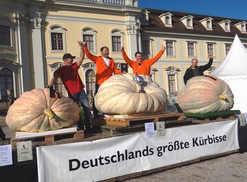 Die drei schwersten Krbisse 2017 mit ihren Zchtern vor dem Ludwigsburger Schloss: (v.l.) Michael Asam, 3. Platz, Team Heavy West, Robert Jaser und Norbert Mitschke, Sieger, Mathias Wrsching, 2. Platz)