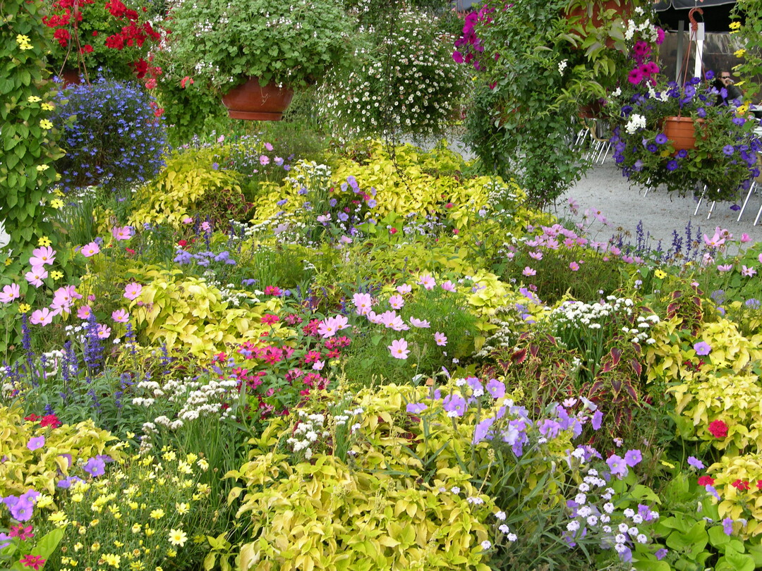 Wer seinen Garten bunt und blütenreich gestaltet, leistet einen wichtigen Beitrag zur Stärkung der biologischen Vielfalt und schafft sich selbst einen Ort der Erholung
