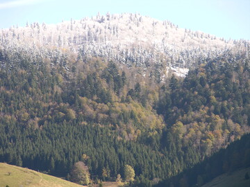 Fr die nchsten 4 Jahre stehen allein in der GAK rund 480 Millionen Euro zustzlich fr den Wald bereit  mit Co-Finanzierung der Lnder sind es knapp 800 Millionen Euro