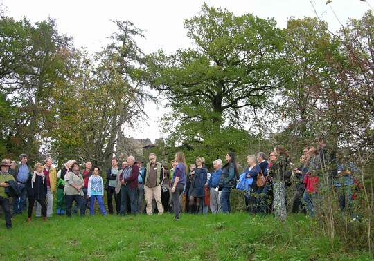 Die Teilnehmer im Wildobstareal des Streuobstmodellprojektes Emmendingen-Hochburg