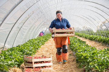 Das Programm richtet sich an Unternehmen aus der Landwirtschaft einschlielich Wein- und Gartenbau, Forstwirtschaft, Fischerei und Aquakultur
