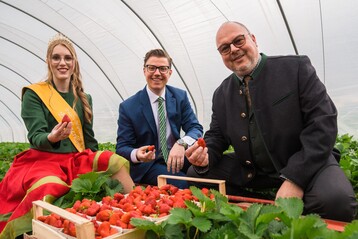 Die Erdbeersaison 2023 wurde in den Erdbeeranlagen von Andreas Fie in Oberkirch durch die baden-wrttembergische Erdbeerknigin Tamara Sauter erffnet, hier mit dem Geschftsfhrenden Vorstand der Obstgromarkt Mittelbaden eG, Dr. Ulrich Dahm (rechts) und dem Oberkircher Oberbrgermeister Gregor Bhler.