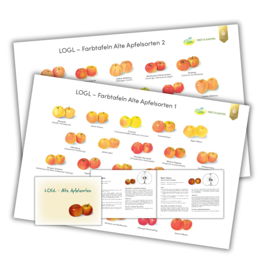 LOGL Farbtafeln Alte Apfelsorten
