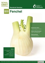 Fenchel oder Stangensellerie und 22 weitere Steckbriefe sind jetzt zum Downloaden auf www.bioschulobst.de eingestellt worden
