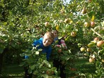 Spaß rund um den Obstbaum