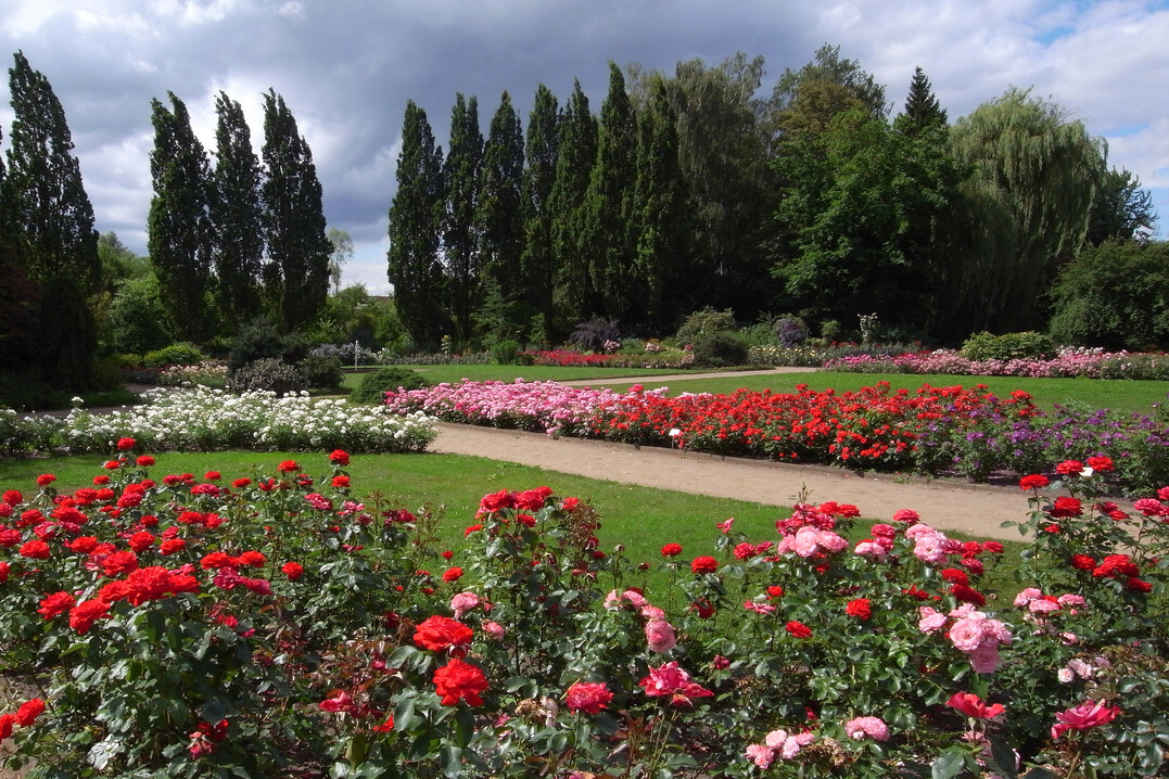 Der Rosengarten ist ein kulturhistorisch bedeutendes Zeugnis der Gartenkunst