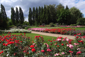 Der Rosengarten ist ein kulturhistorisch bedeutendes Zeugnis der Gartenkunst