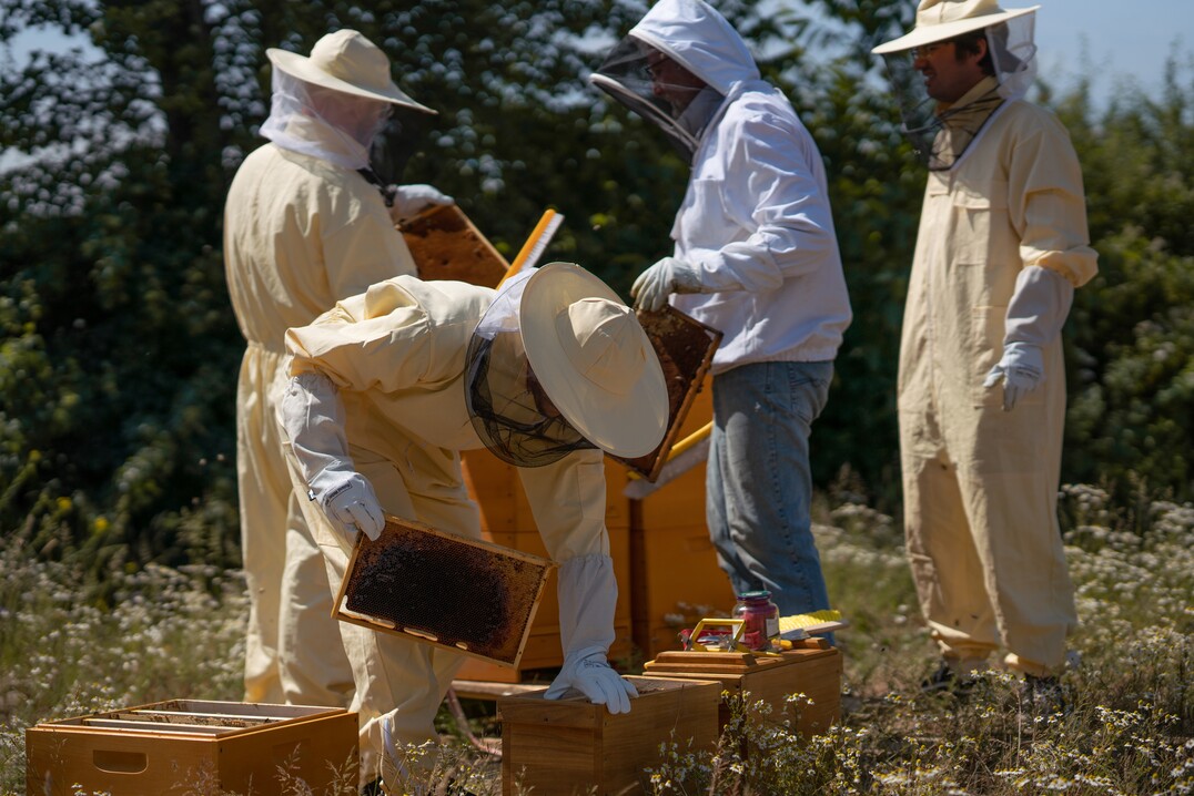 Seit April gibt es bei der Gasa Group Germany ein Imker-Team, das sich um Bienenstcke auf dem Betriebsgelnde kmmert