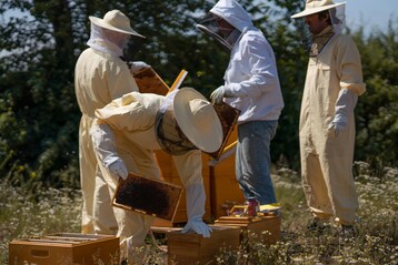 Seit April gibt es bei der Gasa Group Germany ein Imker-Team, das sich um Bienenstcke auf dem Betriebsgelnde kmmert