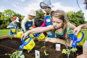 Das Projekt Gemsebeete fr Kids. der EDEKA Stiftung macht Kindergartenkinder zu Nachwuchsgrtnern