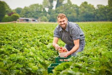 ber eine regionale Suche finden Landwirte und Helfer zusammen