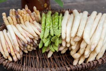 Die Produktionskosten steigen, die Preise stagnieren beim Spargel