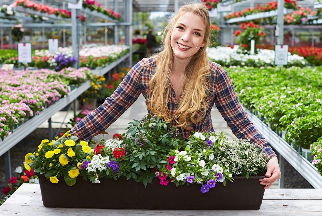 Ob Ton in Ton oder bunt gemischt: Mit einer Kombination aus verschiedenen Blühpflanzen lässt sich der Sommer farbenfroh genießen