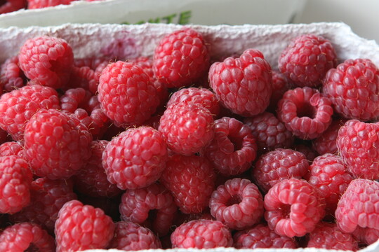 Die Nachfrage nach Beerenobst steigt. Die Anbaufläche in Deutschland wurde ausgeweitet, doch durch Importe noch überflügelt.