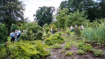Die Universitt Hohenheim ldt in der Woche der Botanischen Grten zu einer Freiluft-Ausstellung und Online-Vortrgen ein.