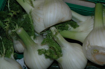 es gibt tolle Rezepte fr Knollenfenchel
