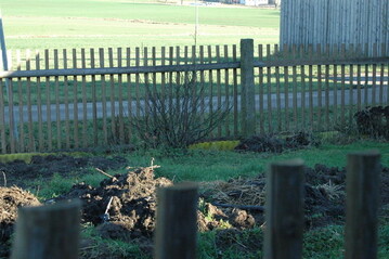 Stallmist fr den Garten