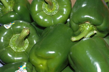Paprika bentigt viel Sonne