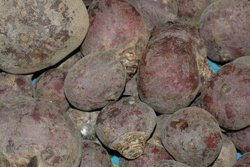 rote Beete