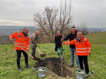 Dietmar Mller (Geschftsfhrer Algeco),
Oberbrgermeister Thomas Keck der Stadt Reutlingen,
Dr. Janet Maringer (Flchenagentur BW),
Maximilian Moser (Garten Moser) und
Andreas Blankenhorn (Algeco) pflanzen einen Baum.