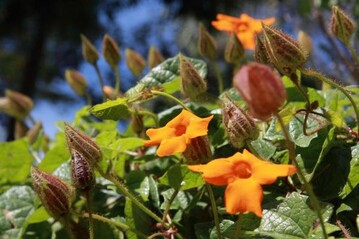Madeira-Reise