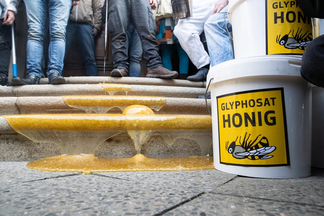 Der betroffene Imker Sebastian Seusing verschüttete mehrere Eimer nicht-Glyphosat-belasteten Honig vor dem Gebäude